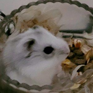 Meet your Posher, Tonia